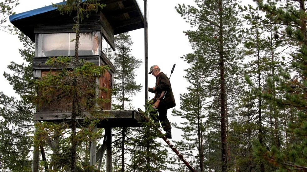 Måndag 2 september börjar jägarna bege sig upp i jakttornen för att spana efter skogens konung. (Arkivbild).