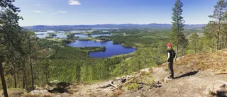 Läsarbilden