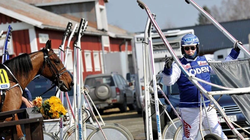 Petri Salmela tränar Makethemark som på lördag siktar på seger i Norrbottens Stora Pris.
