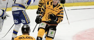 Skellefteås tionde raka: "Det är inte gratis"
