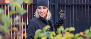 Gröna fingrar på drivna elever