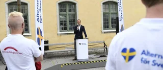 Rasism är ett dåligt alternativ för Sverige