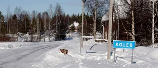 Koler prisas för sitt engagemang