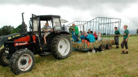Färden gick med traktor och höskrinda, med getterna bakom.