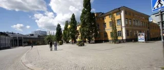 M vill se fler och lyxigare uteserveringar