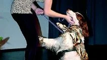 En av de kreationer som Emma Rydén och springer spanieltiken Della, 7,5 år, visade på catwalken. "Let´s go crazy the djungle way". Foto: Gunnar Johansson