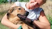  Det är risk att den här upphittade hunden avlivas, om vi inte hittar dess ägare eller lyckas placera om den till en ny ägare, säger Mia Engqvist på Norrköpings Hundcenter, där polisen placerat hunden, som hittades på Vikbolandet.
FOTO: NICLAS SANDBERG