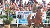 7 000 åskådare följde Norrköping Horse Show på Åby Ridklubb i helgen.
FOTO: PETTER ANDERSSON