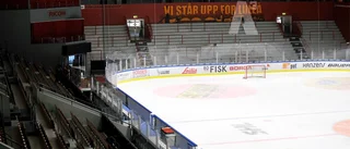 Luleå Hockey miljoninvesterar: "Kommer löna sig"