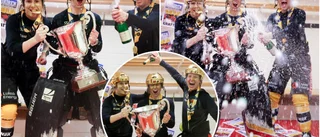Luleås galna firande – hjältarna förvandlas till guld: "Man ska aldrig räkna ut Luleå Hockey – det tror jag alla vet innerst inne"