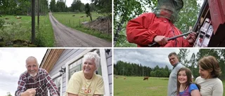 Vägen som leder hem