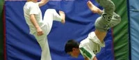 Capoeira - både kampsport och dans