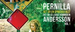Pernilla Andersson: Det är en spricka i allt...