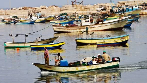 Fiskare i hamnen i Gaza City.