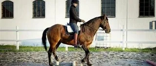 Gammalt hästjobb blir en ny sport