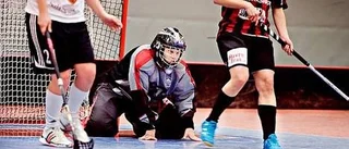 Sten Stures segersvit bruten