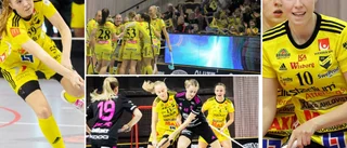 Back-trion om Endres slutspelsvapen • "Betyder väldigt mycket för oss"
