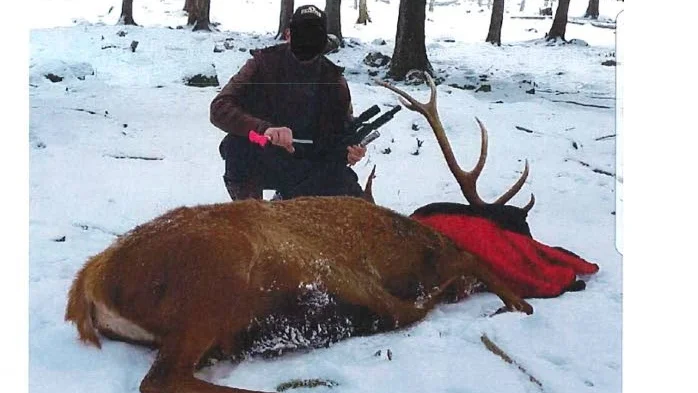 Instagram. Bilden, är från en anmälan som ankommit till länsstyrelsen. 
På bilden ser man en jägare som sitter hukad vid en stor kronhjort som ligger i ett skogsparti. I ena handen håller jägaren en bedövningspil. I andra handen en pil-bössa. Över djurets huvud har det lagts en filt. Under bilden står det att den gillas av 114 personer och ”Idag blev det jakt med pil-bössan! Vill du jaga megastor kronhjort med pil-bössa? Ring eller Smsa … ”.