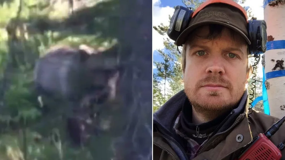 Andreas Sånglöf stötte på en björn när han var och jagade i Västernorrland.