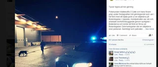 Hunden Calle hyllas på Facebook