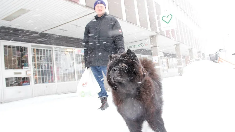 Vinterälskare. Håkan Wahlborg och hunden Fonzie på morgonpromenad i Tierp