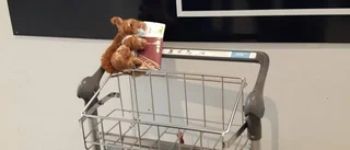 Kurre reser jorden runt