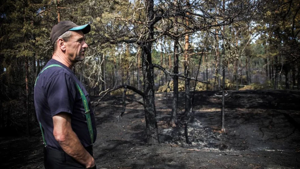Mats Mattsson besöker sin utbrända skog utanför Bålsta.