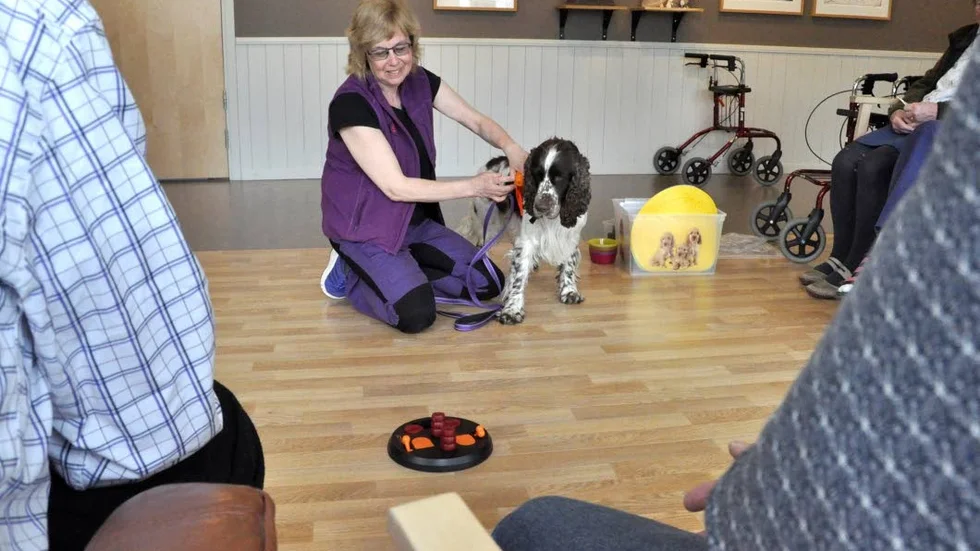 Birgitta Ronnermark och hunden Klas besöker äldreboendet Edsvägen 16 i Östhammar.