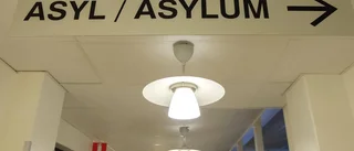 Nämndemännens partifärg spelar roll i asylfall