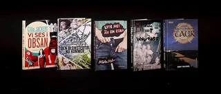 De kan vinna Barnens romanpris