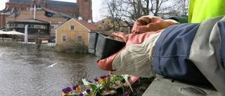 Det våras på bron