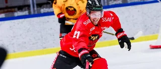 Så ställer Luleå Hockey upp
