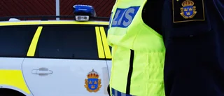 Misstänkta tjuvar häktade