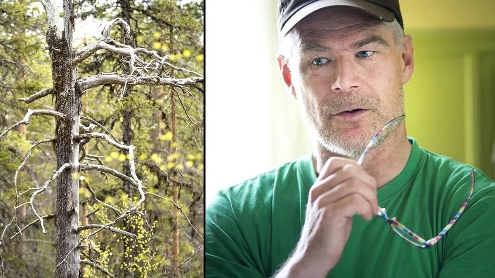 Naturvårdsombudet Tor L Tuorda (MP) känner sig rundad av Jokkmokks kommun i hanteringen av Jiellká Rijmagåbbå.
