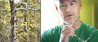 Ombud i kylan: "Inte sett ett enda ärende"