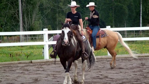 På lördag arrangerar samtliga westernföreningar i WRAS uppvisningar runt om i landet, så också i Vimmerby. Tjust Western Riders passar då också på att visa upp sitt nya område, stall Skänninge, som ligger bredvid ryttargården.