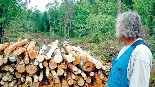 Calle Carlsson riktar skarp kritik mot Kinda kommun och dess hantering av skogsposten Mjällerum utanför Kisa.
