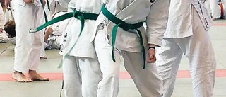Läger med ju-jutsu i Linköping