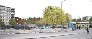 Planerad skövling har tjuvstartat