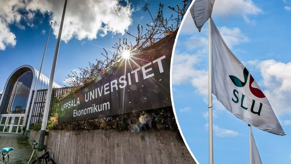 Allt fler söker sig till Uppsala för att studera.