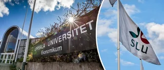 Allt fler studenter till Uppsala