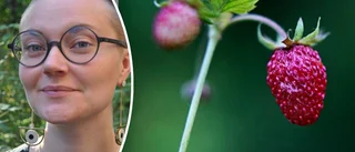 Mitt smultronställe i Sommaruppland