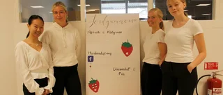 Sommarjobbar i egna företag