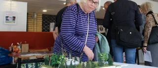 UFO-utställning lockade entusiaster