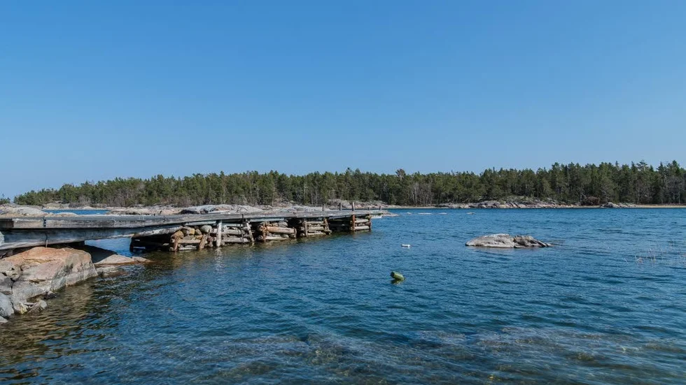 Vid sidan av skogsbruket framställs jakt och fiske som spännande företeelser för den nya ägaren av Gräsö Skogar, en fastighet som nu finns ute till försäljning för 100 miljoner kronor.