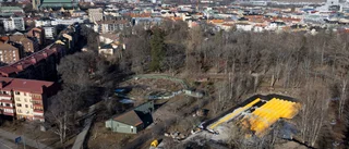Därför placeras nu gula behållare i Trädgårdsföreningen: "Nödvändigt i en förtätad stad"