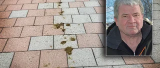 Hästbajs på gågatan – det är ingen skitsak • Parkchefen: "Jag tycker det är för bedrövligt"