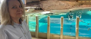 Tårfyllt avsked: Delfinerna lämnar Kolmårdens djurpark