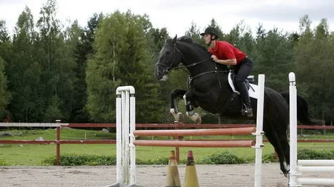 De uppländka hoppet Niklas Ålund tävlar i sm i hoppning i helgen.