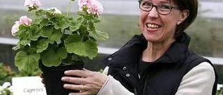 En dag i handelsträdgården